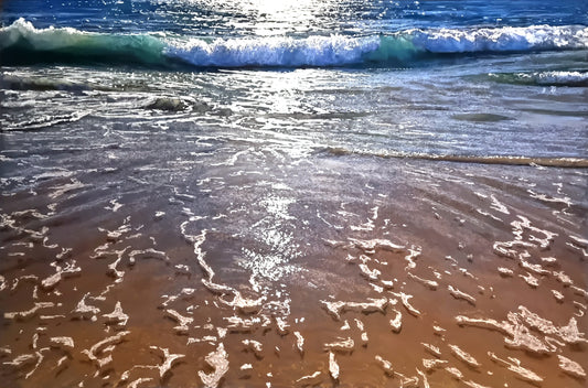 Afternoon Swim