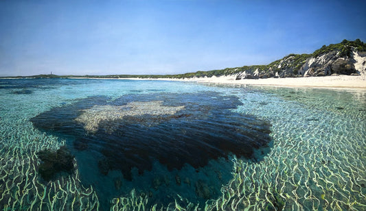 Looking Across Salmon Bay Reef