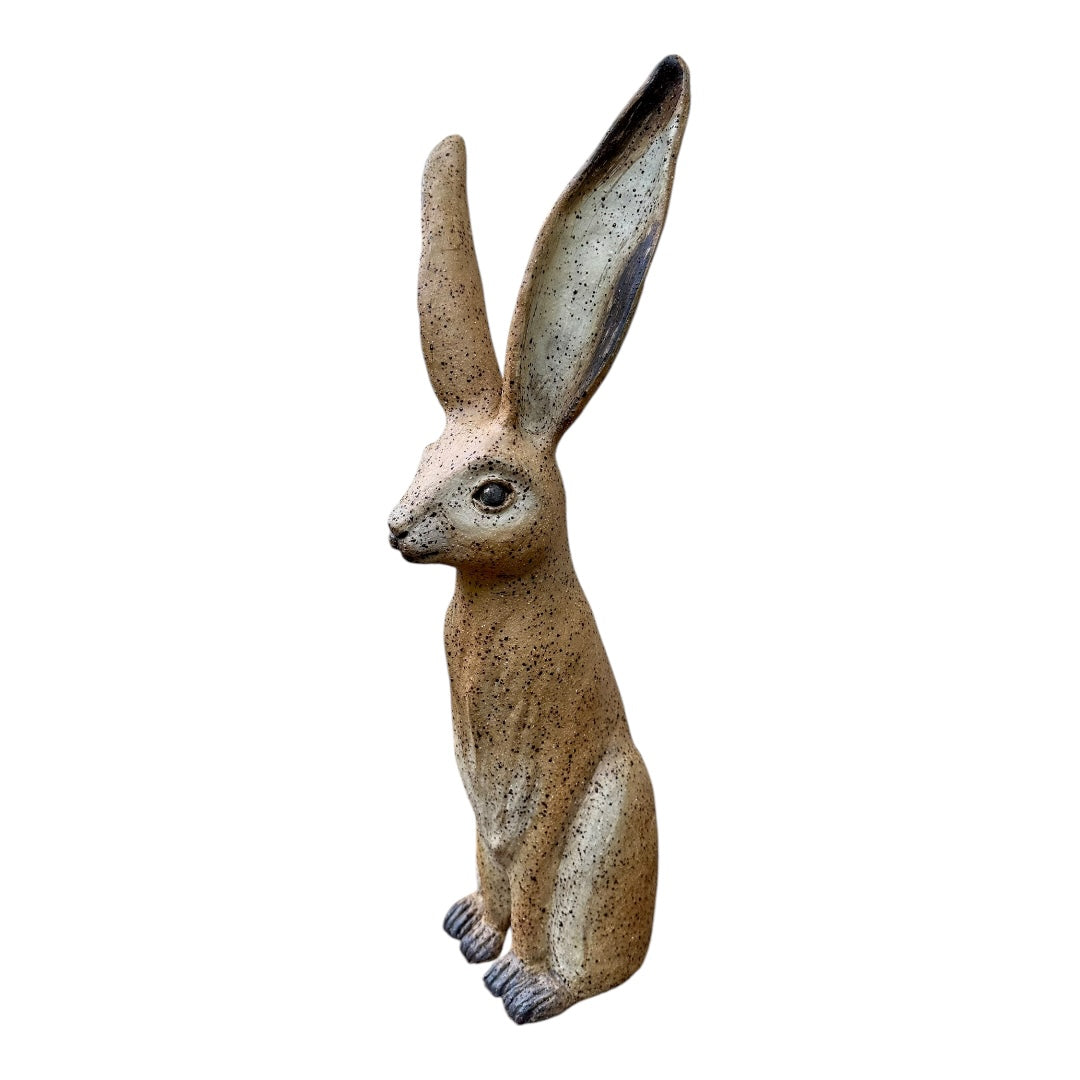 Orthello Hare