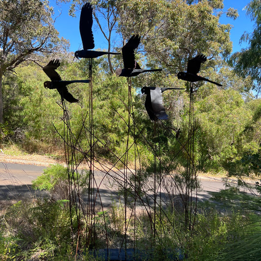 Cockatoo Quintet