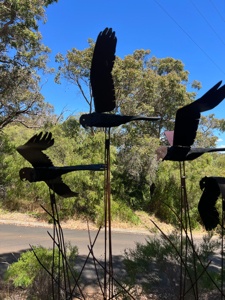 Cockatoo Quintet