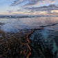 Shallow Pools at Surfers Point - Jan 2025