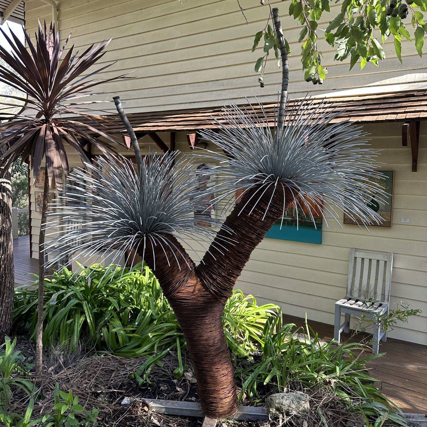 Grass Tree IV