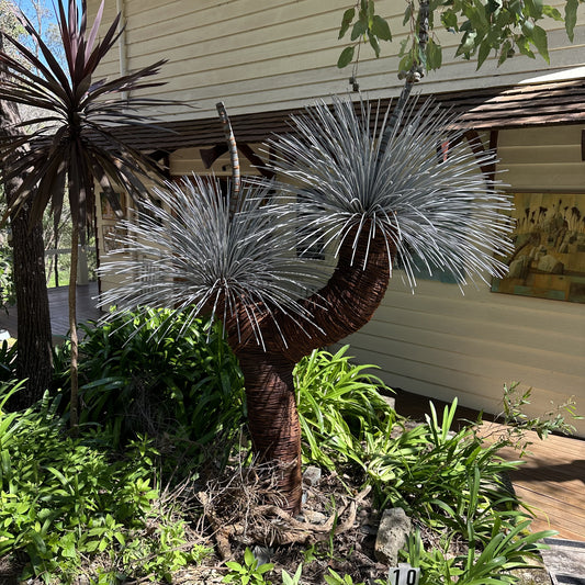 Grass Tree V