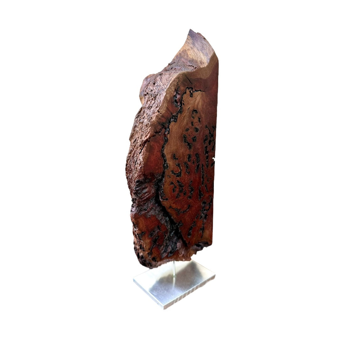 Jarrah Burl Vertical