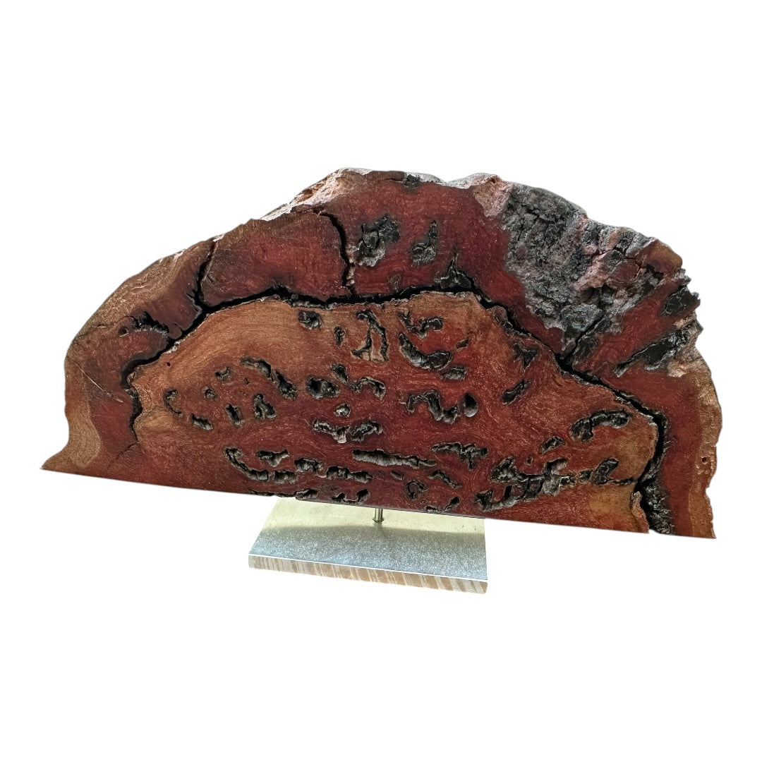 Jarrah Burl Horizontal