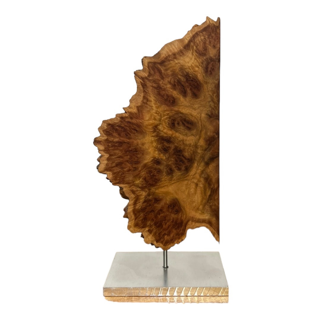 York Gum Burl Sculpture