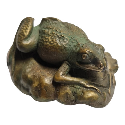 Crinia Frog